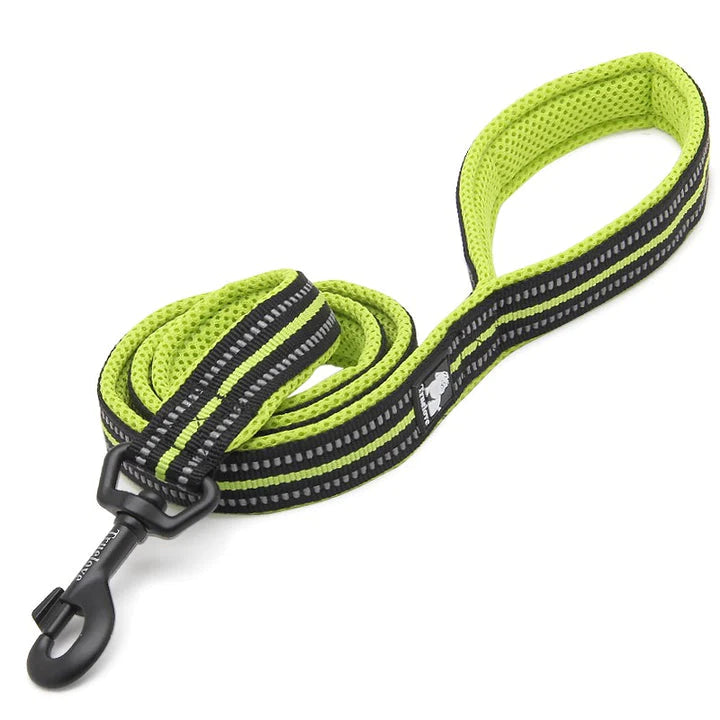 Dog Walking
