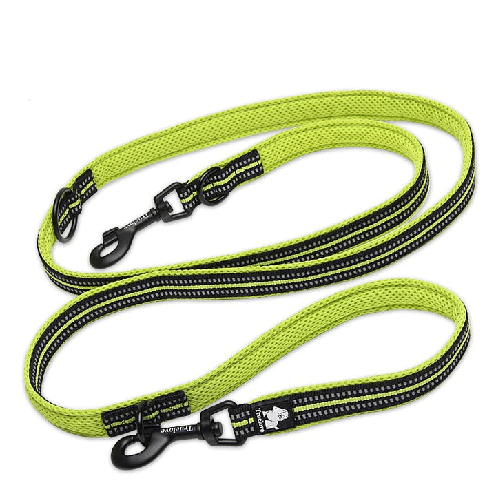 Dog Leashes
