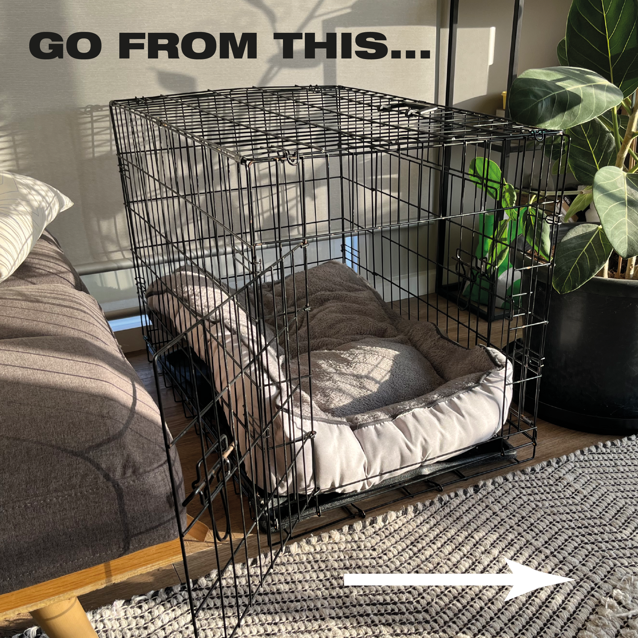 Timber Side Table Crate Furniture Dog Pet