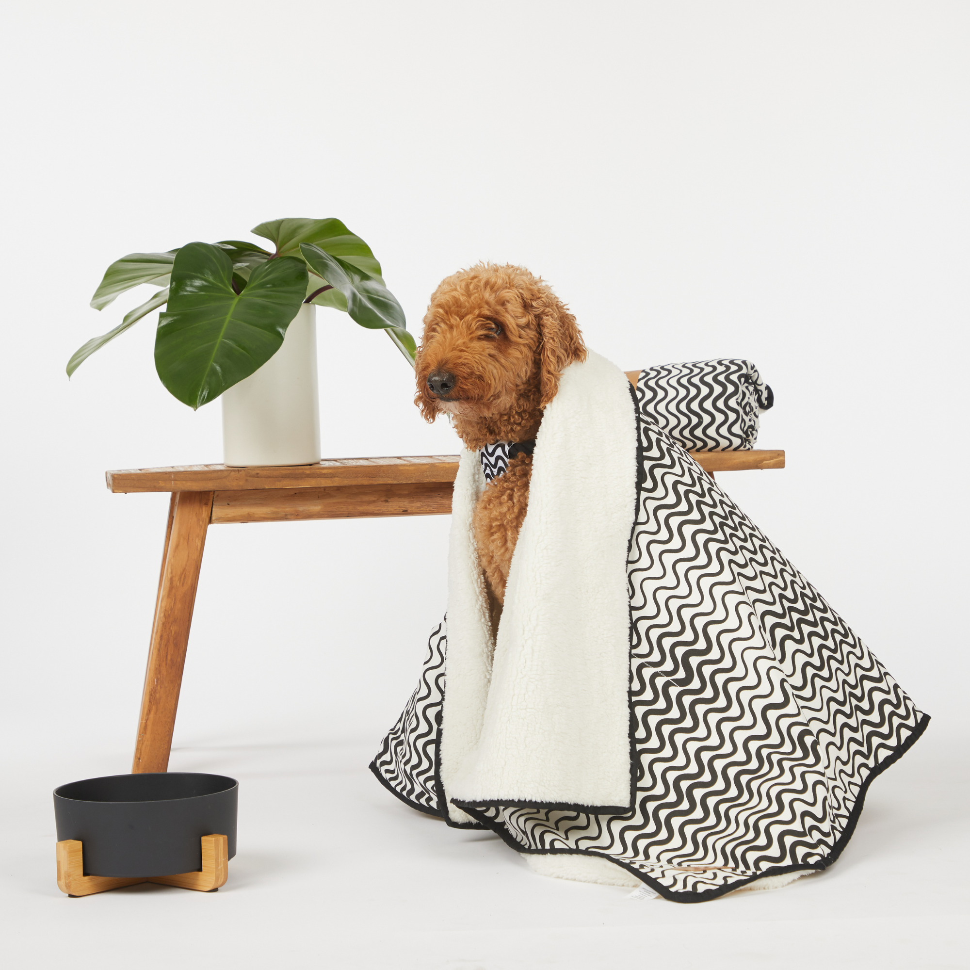 Mog & Bone Pet Dog Fleece Blanket - Black Wave