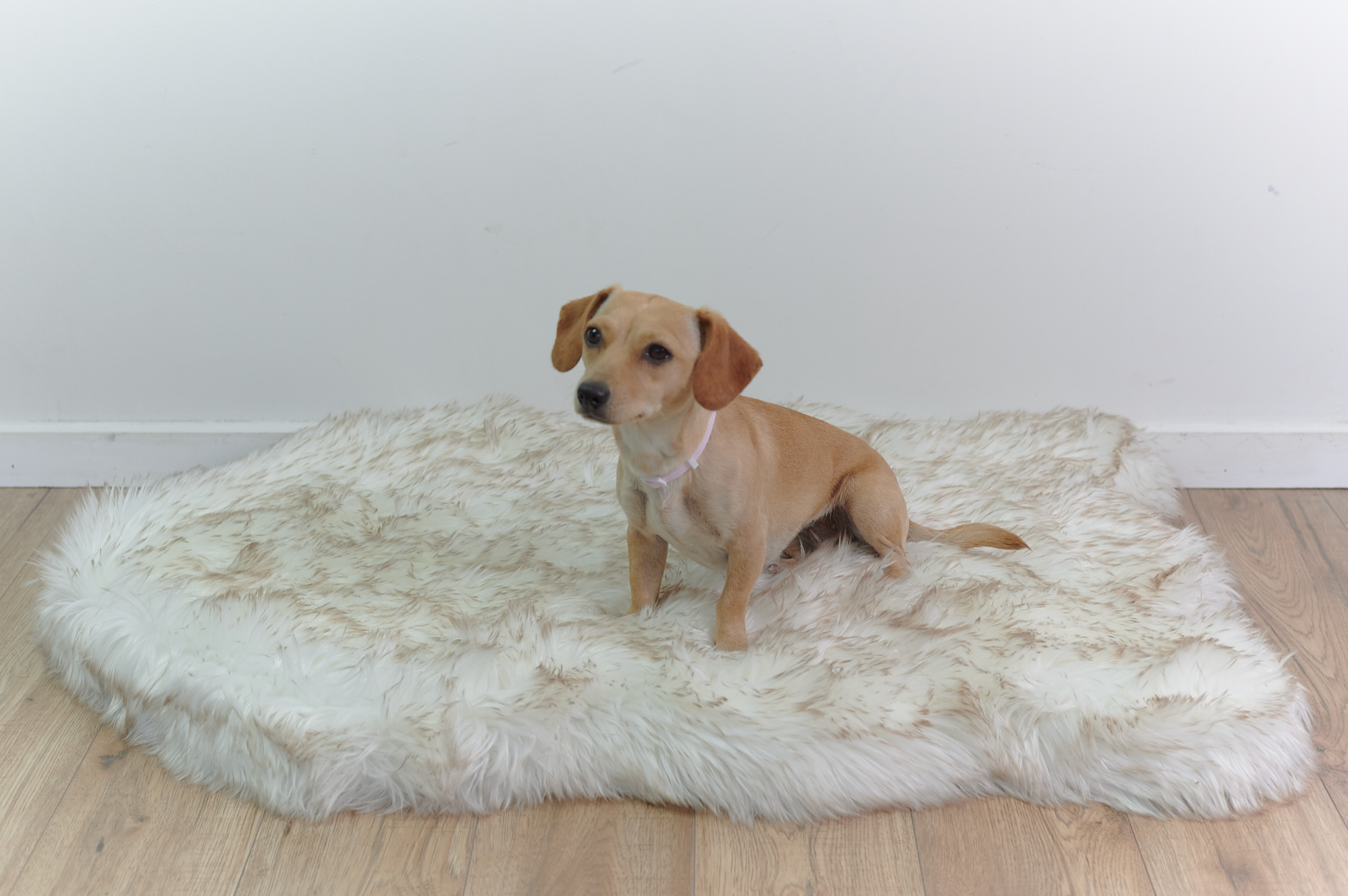 Luxury Memory Foam Dog Bed - Faux Fur Nordic Rug Style