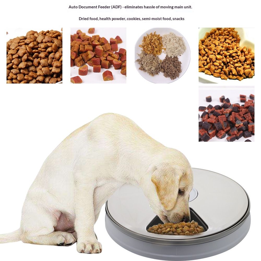 Automatic 6 Bowl Digital Timer-Controlled Pet Feeder - for Cats and Small Dogs, Wet or Dry Food Battery Operated, BPA-Free
