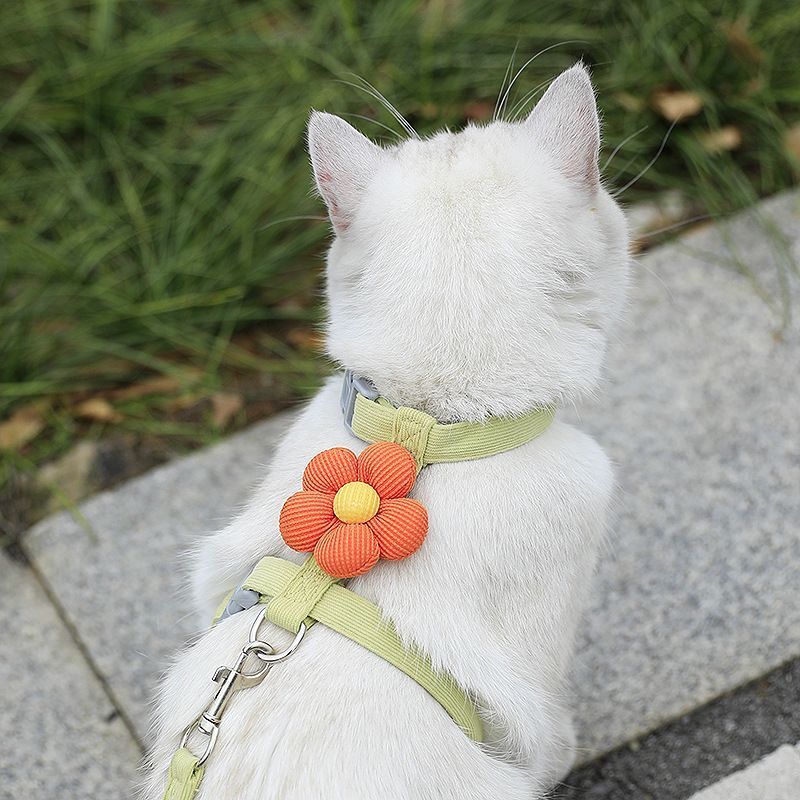 Pet Harness-green+1.2m Leash+Size S