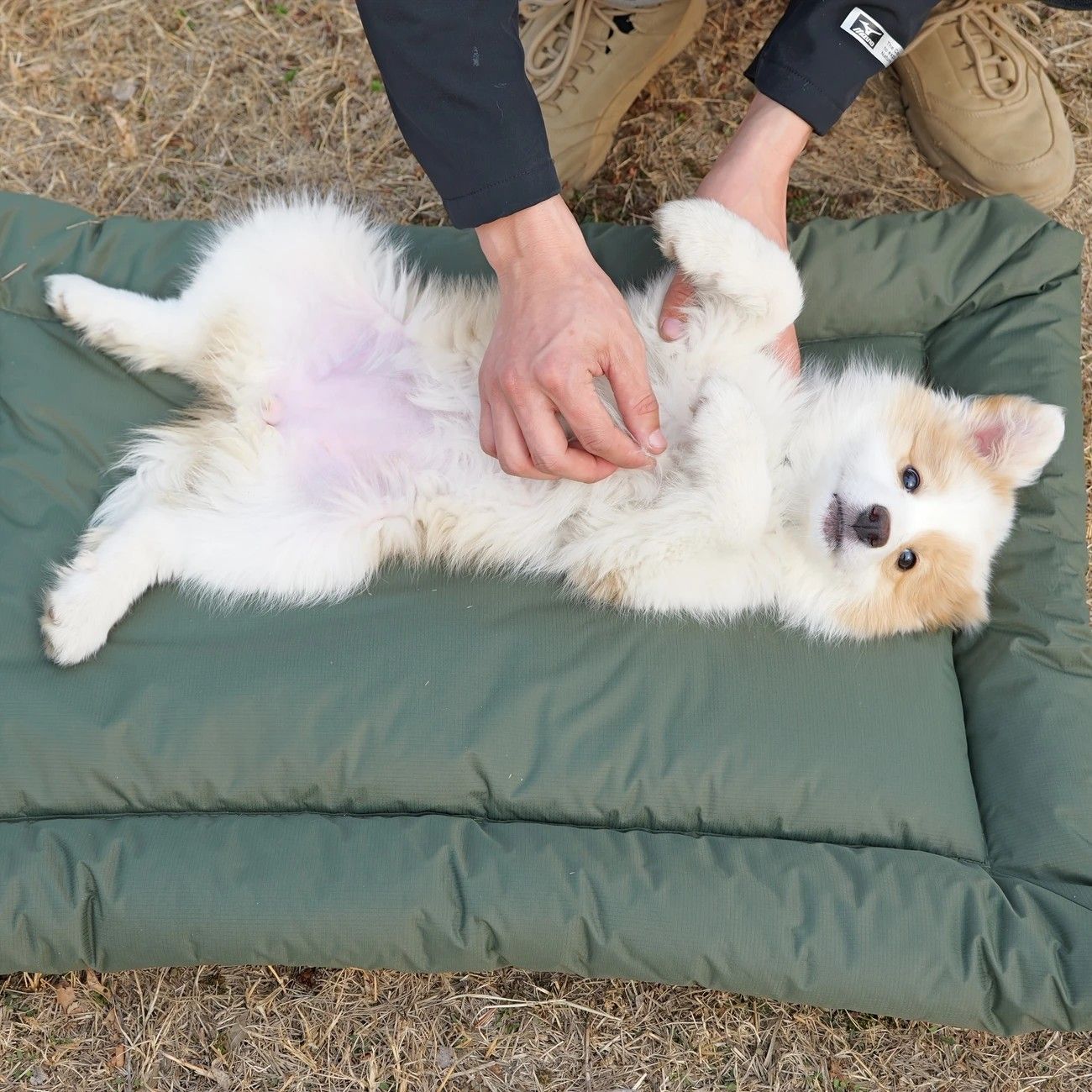 High-Quality Pet Portable Moisture-Proof Mattress, 120x80cm Large Size, Foldable for Storage, Wear-Resistant and Waterproof, All-Season Use, Suitable for Indoor and Outdoor, Ideal for Both Cats and Dogs.red