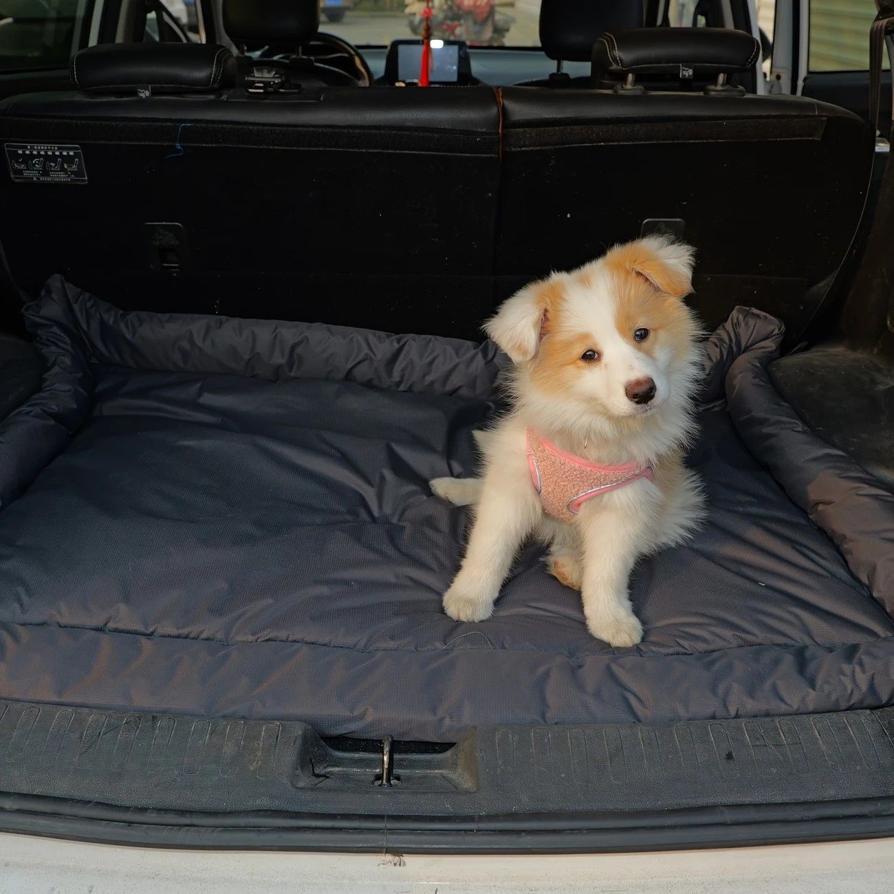 High-Quality Pet Portable Moisture-Proof Mattress, 120x80cm Large Size, Foldable for Storage, Wear-Resistant and Waterproof, All-Season Use, Suitable for Indoor and Outdoor, Ideal for Both Cats and Dogs.GREY