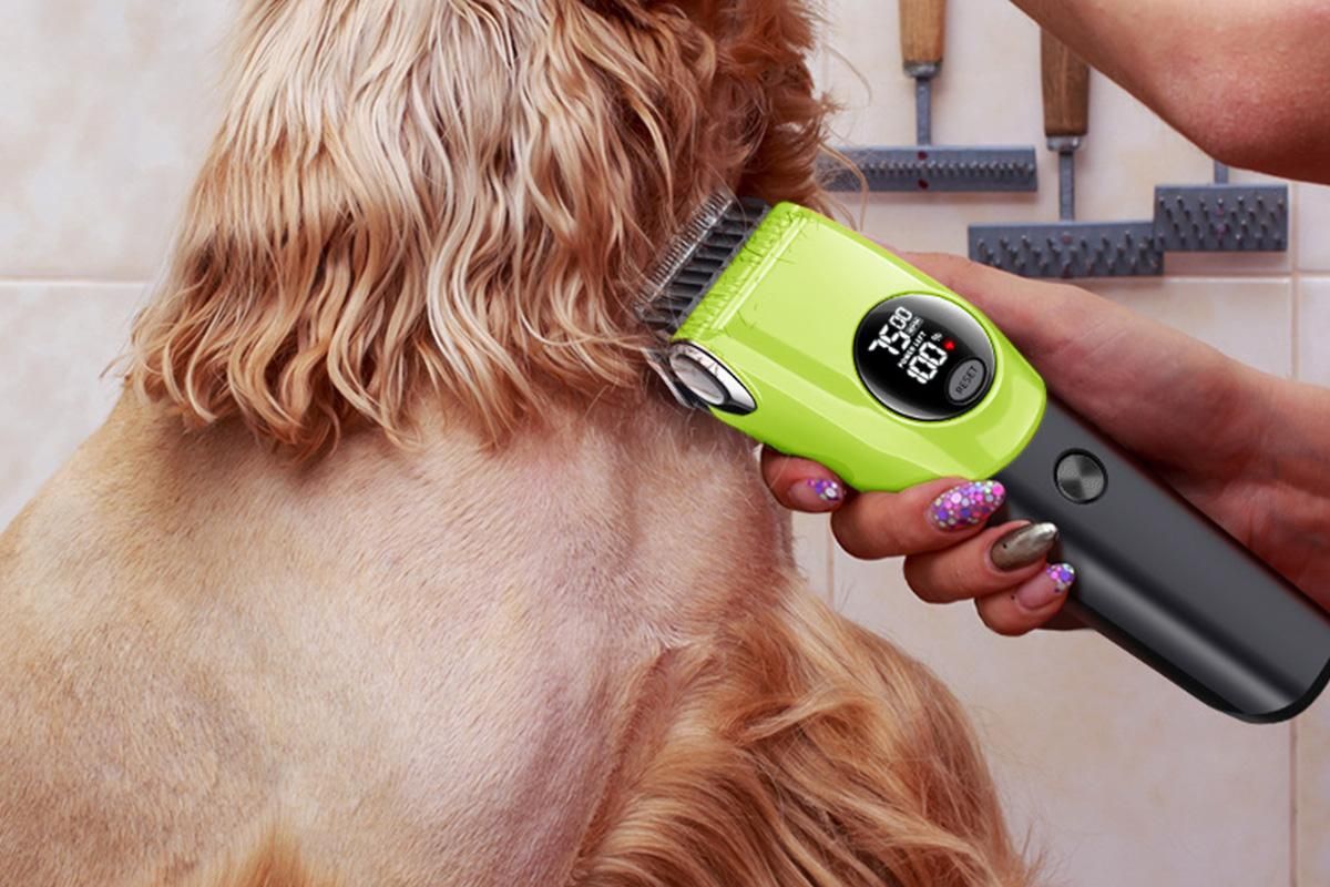 Dog Clipper Low Noise Dog Grooming Kit Rechargeable 3-Speed With LCD Display for Dogs Cats Pets