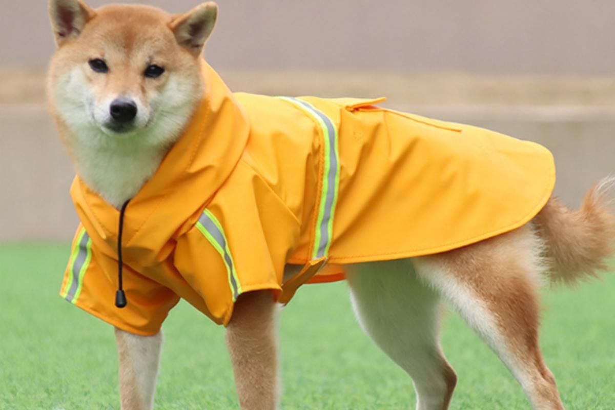 Pet Raincoat Outdoor Waterproof Dog Poncho for Small and Medium Dogs - Orange