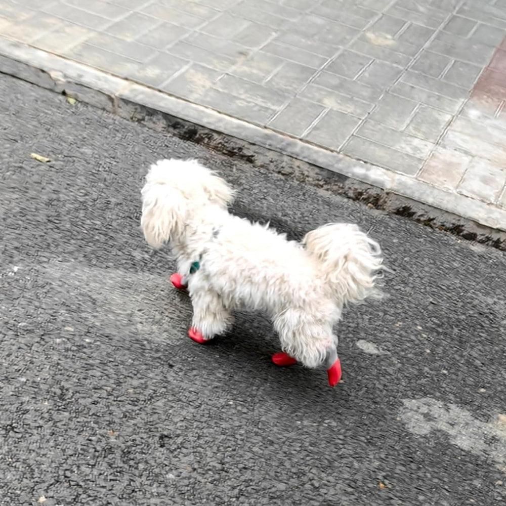 Waterproof Anti Slip Pet Shoes with Rubber Sole for Indoor and Outdoor Use Red - M