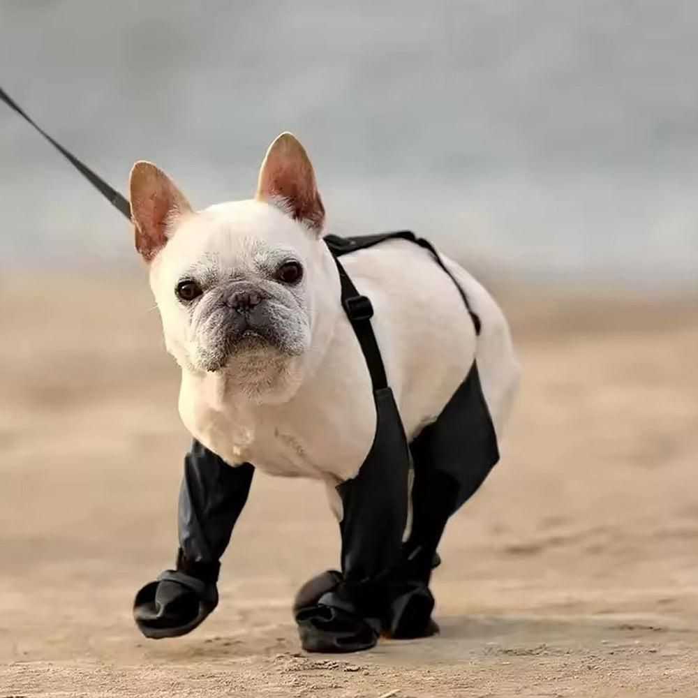 Waterproof Pet Boots Dog Rain Shoes for Outdoor Use - L