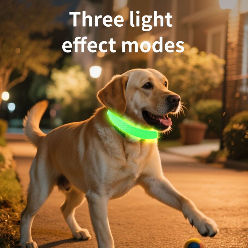 Pet LED Light-Up Collar, Large, Adjustable, USB Rechargeable, for Cats and Dogs, Nighttime Anti-Lost - White