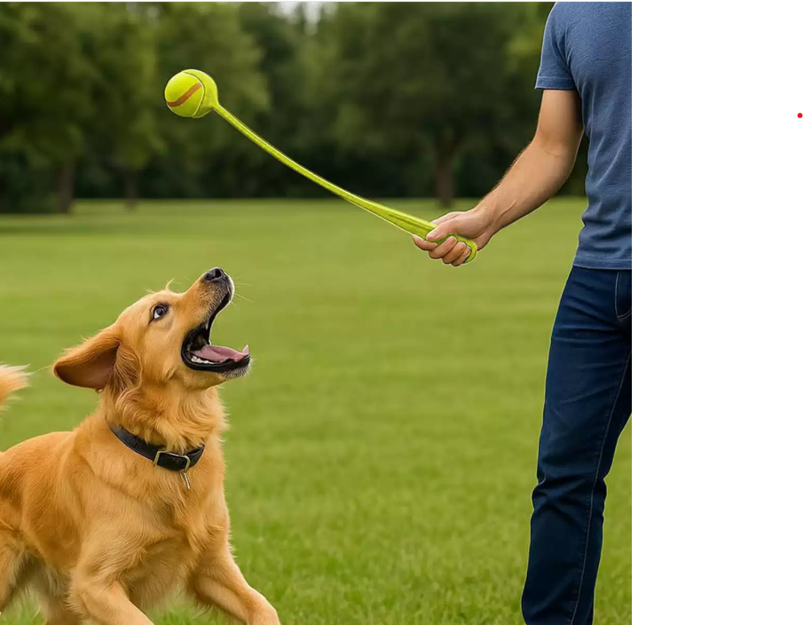 Dog Ball Launcher Outdoor Interactive Tennis Ball Thrower for Pets