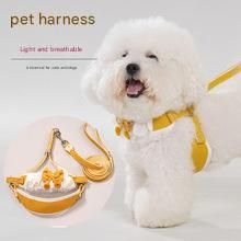 Sky blue Lace Y-Shaped Pet Harness and Leash Set - Breathable Mesh Vest for Small to Medium Dogs and Cats - Comfortable Walking Gear with 150cm Leash(Size:S)
