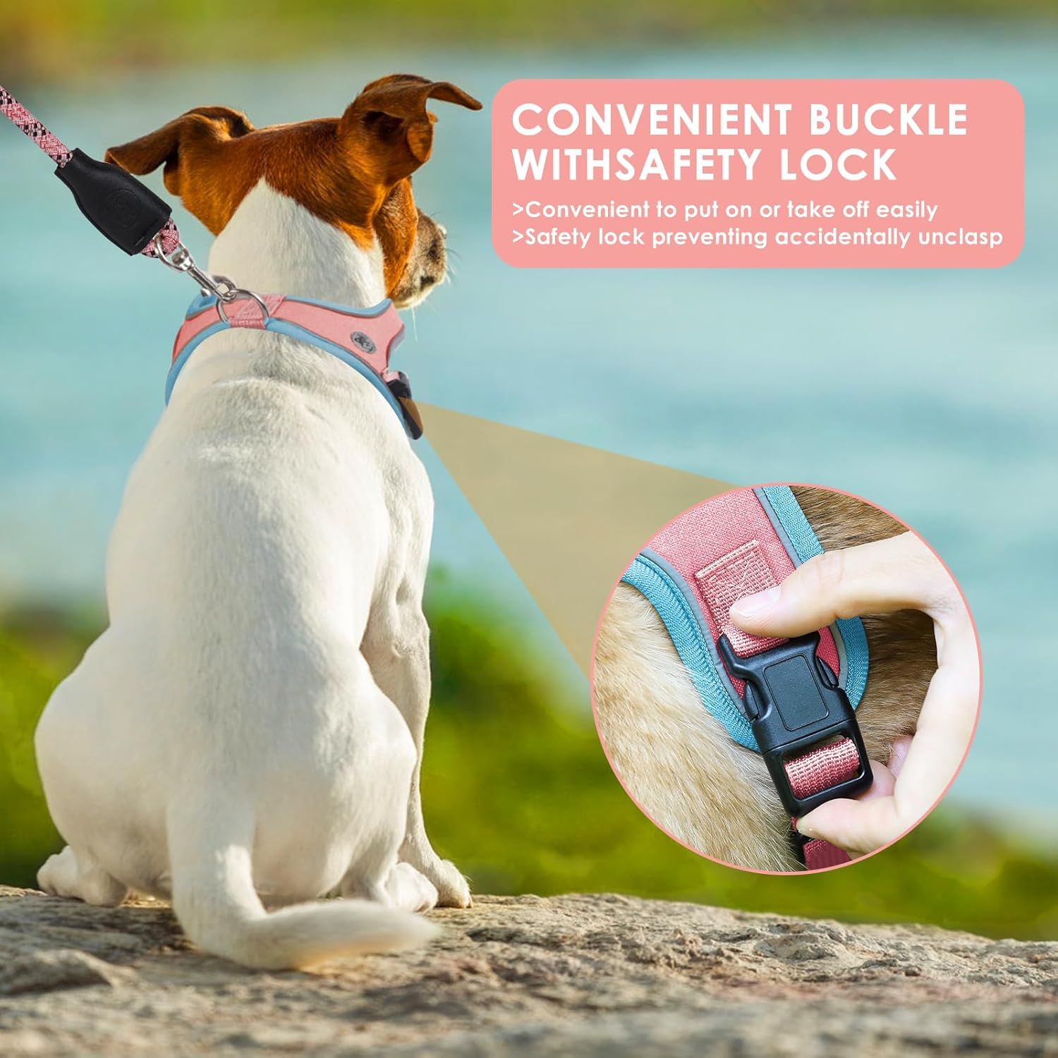 XS Size Black Waterproof Reflective Saddle-Style Dog Harness & 1.5M Leash Set - Breathable Anti-Choke Escape-Proof Step-In Walking Gear