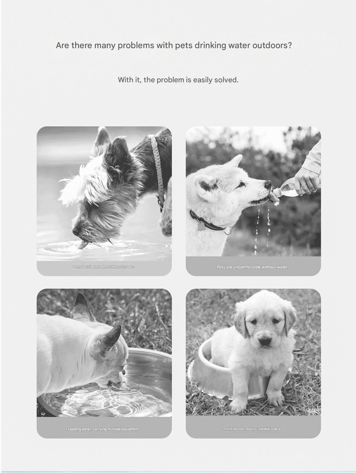 White Portable Dog Water Bottle with Food Container - 2-in-1 Leak-Proof Pet Travel Water Dispenser, Cloud-Shaped Drinking Bowl, Twist-to-Dispense Design, BPA-Free HIPS/PET Material for Walking Hiking Travel