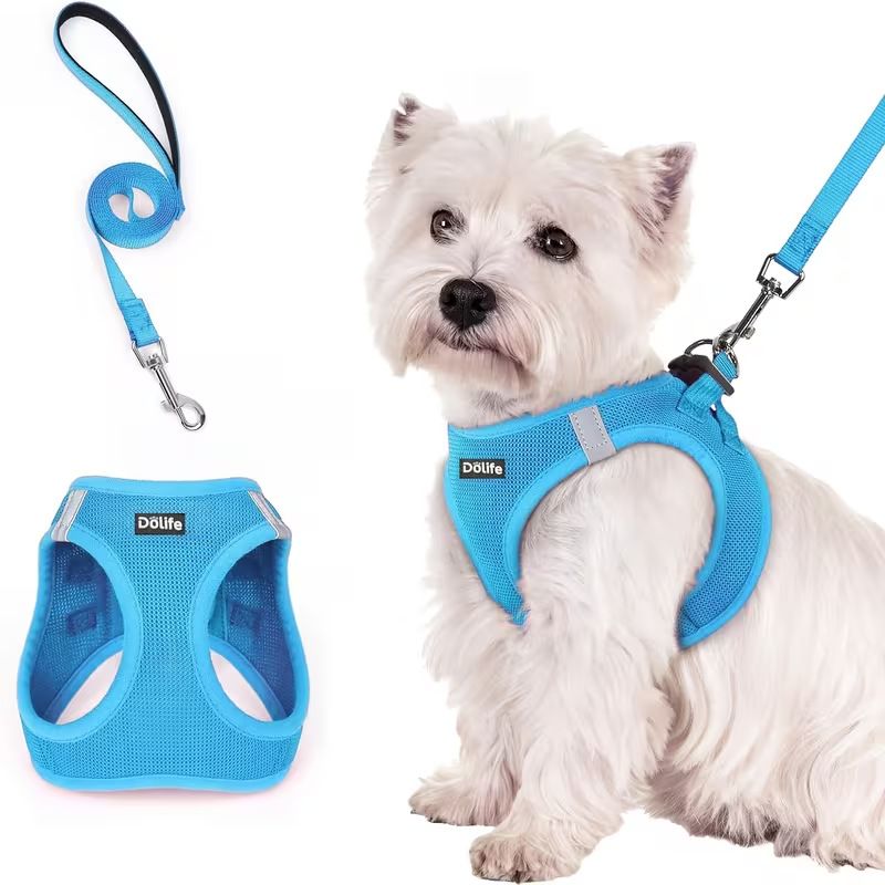 Blue Breathable Dog Harness and Leash Set - Adjustable Reflective Pet Vest with Swivel Clip(Size: XS)