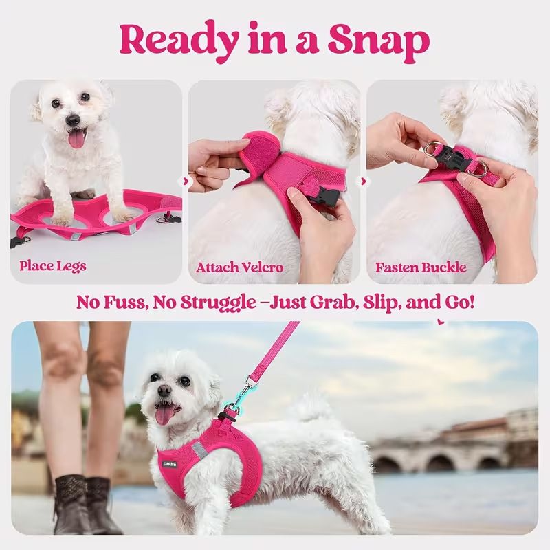 Blue Breathable Dog Harness and Leash Set - Adjustable Reflective Pet Vest with Swivel Clip(Size: M)