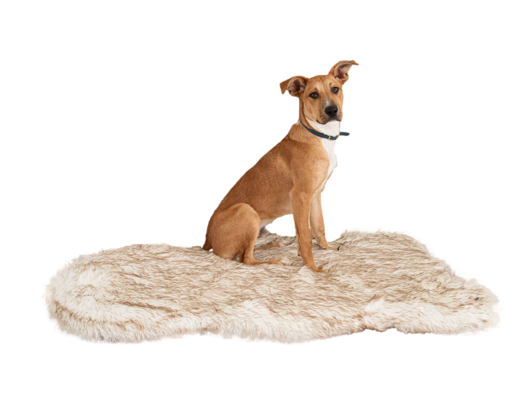 Luxury Memory Foam Dog Bed - Faux Fur Nordic Rug Style