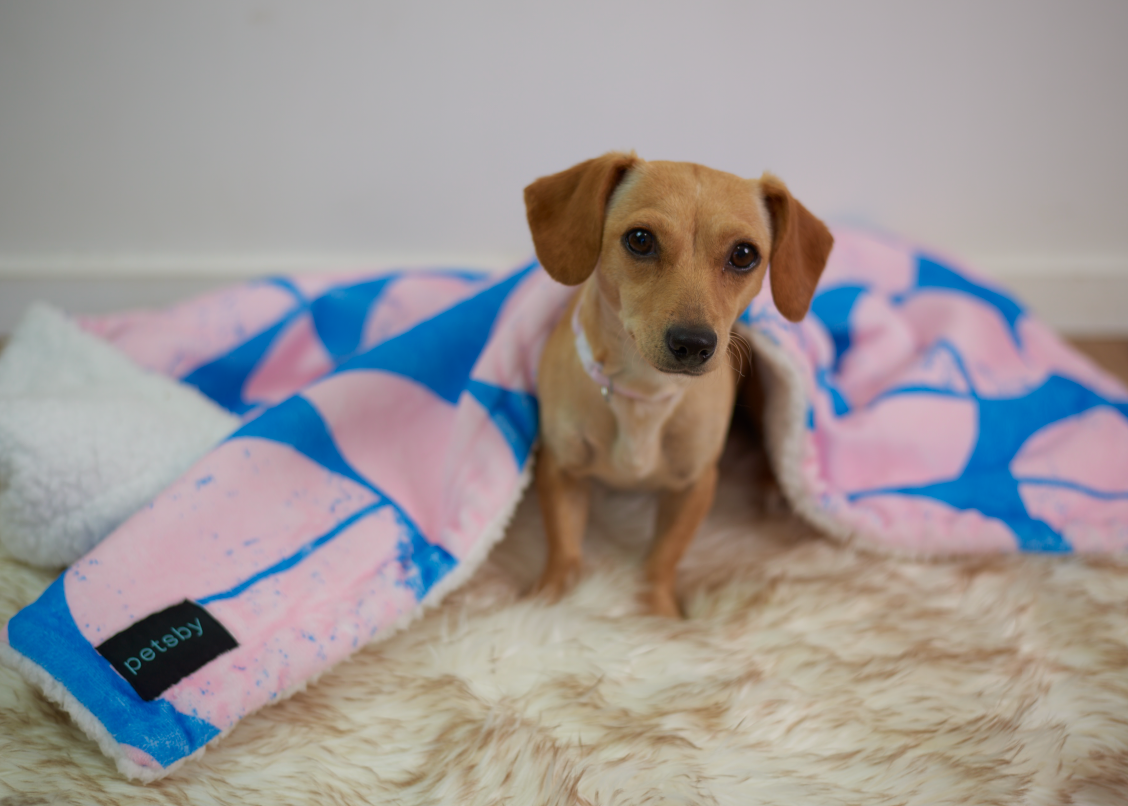 Soft Fleece Sherpa Dog Pet Blanket 100 x 75cm - Retro