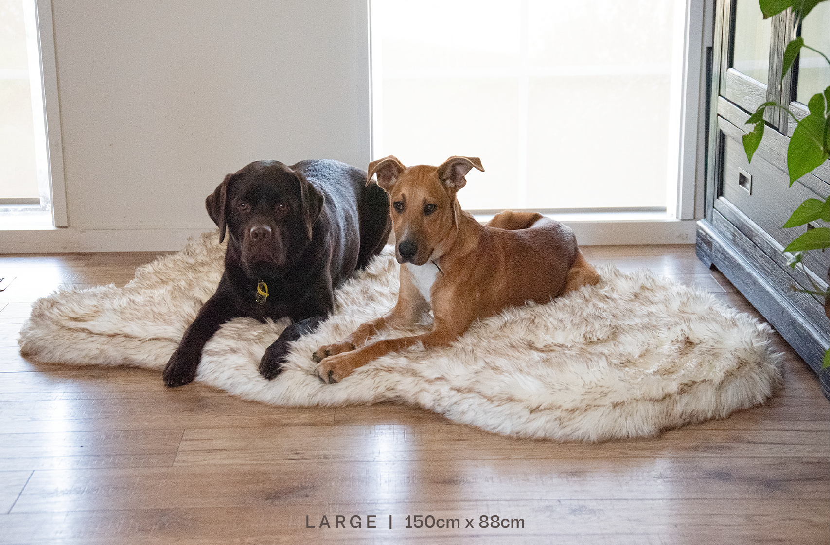 Luxury Memory Foam Dog Bed - Faux Fur Nordic Rug Style