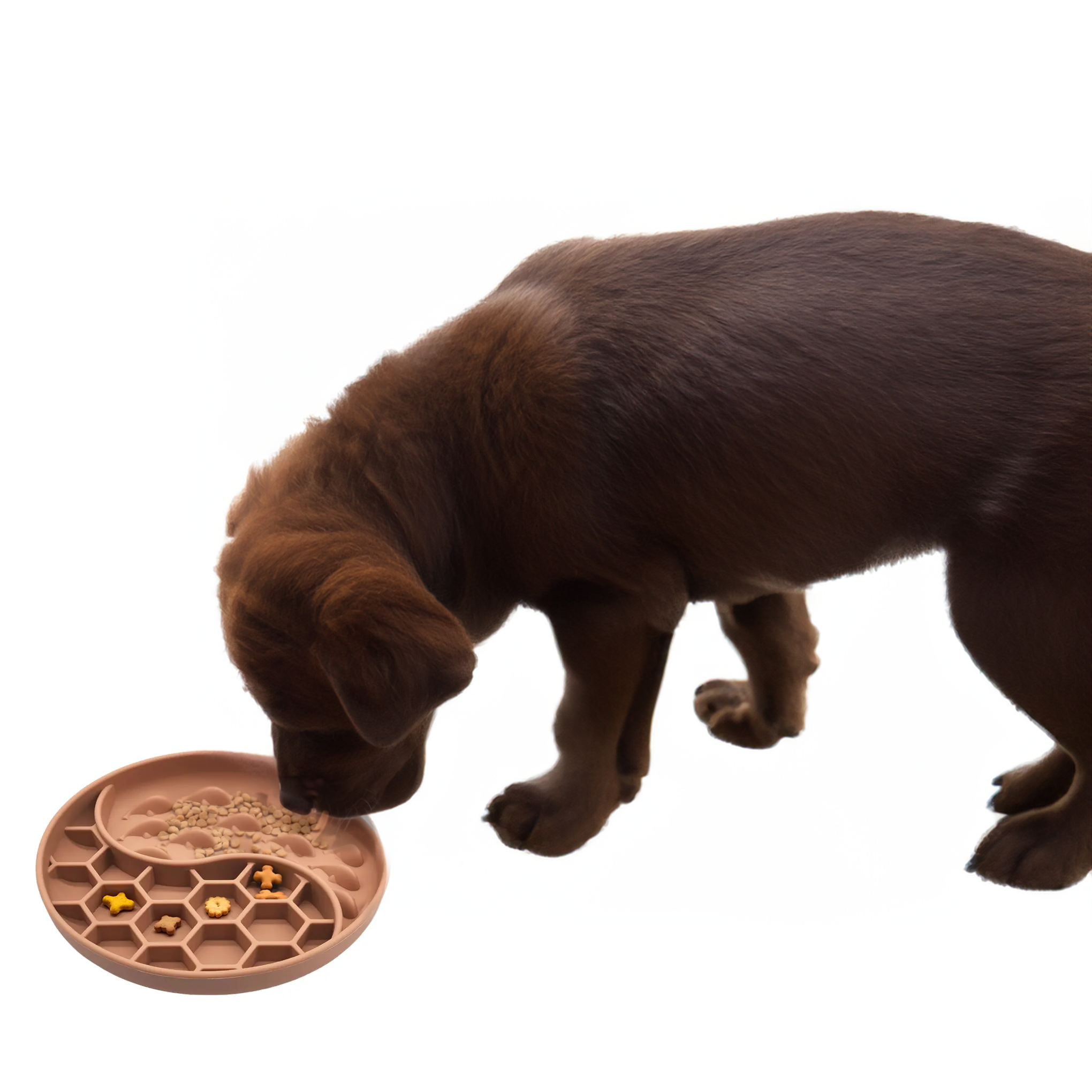 Slow Feeder Lick Mat Bowl