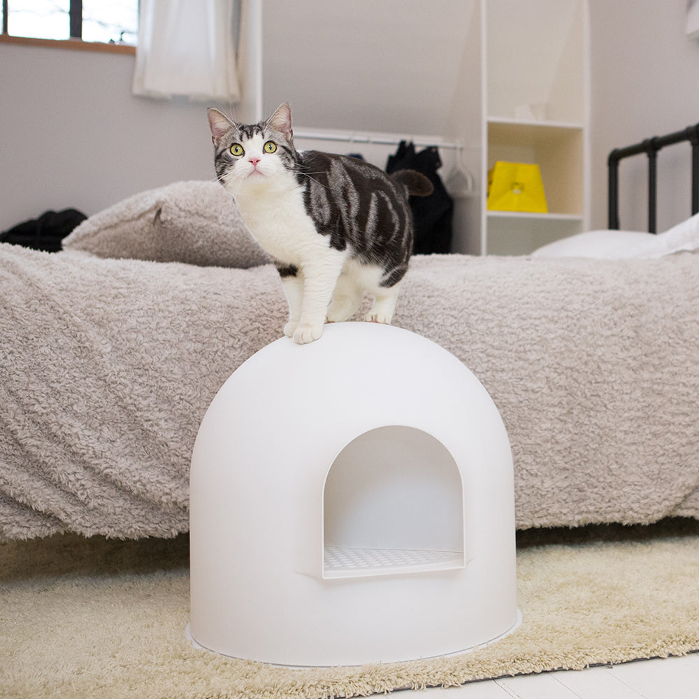 PIDAN Igloo Cat Litter Box - White Petsby | Pet Essentials
