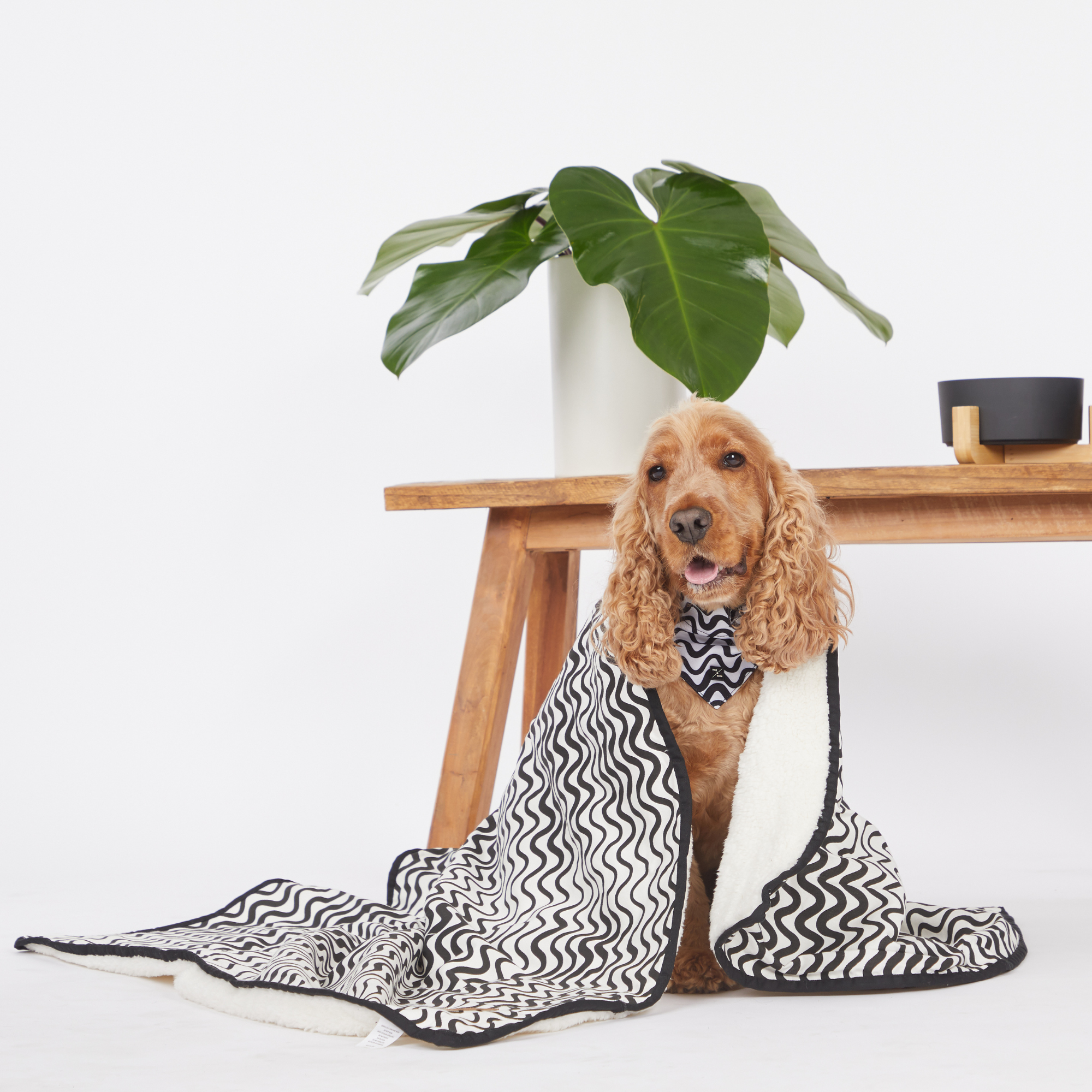 Mog & Bone Pet Dog Fleece Blanket - Black Wave