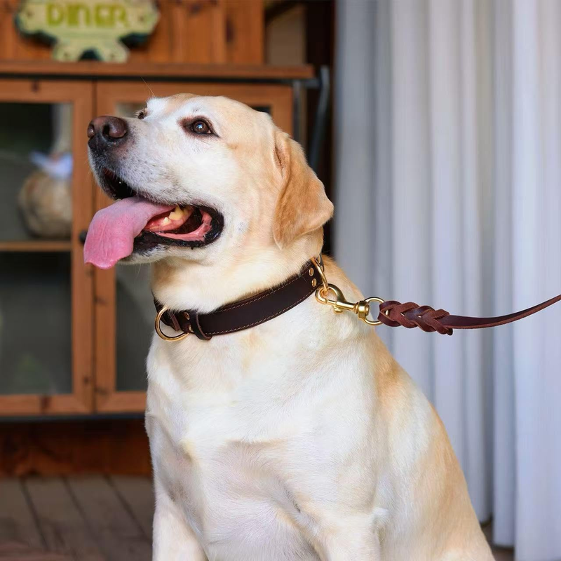 Premium Genuine Leather Dog Collar/Durable Real Leather Adjustable Collars For Male Female （size: S）