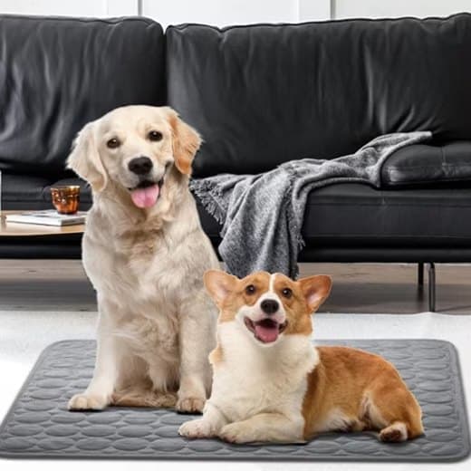 Cooling Mat for Dogs and Cats, 100×70cm, Dark Gray, Breathable, Compatible with All Breeds