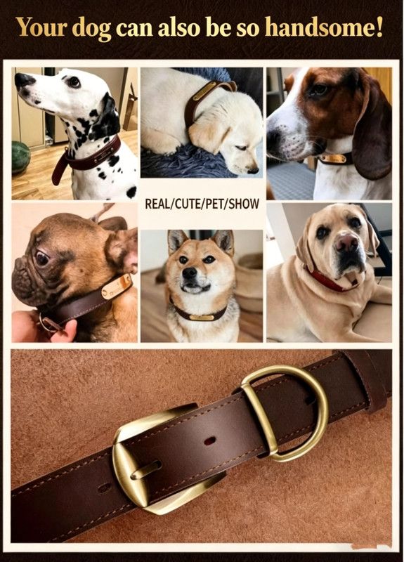 Premium Genuine Leather Dog Collar/Durable Real Leather Adjustable Collars For Male Female(M,Black)