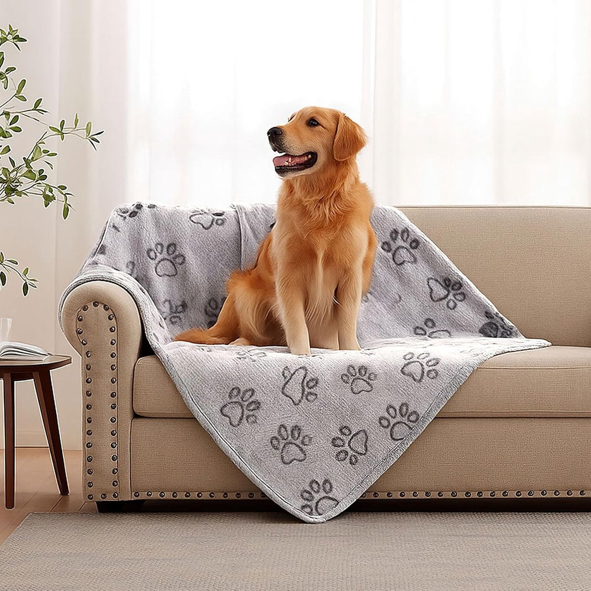 100x160cm Dog blankets for medium-sized dogs, cats, Premium soft dog blankets for small dogs, washable, Puppy blanket, Dog supplies for puppies (grey)