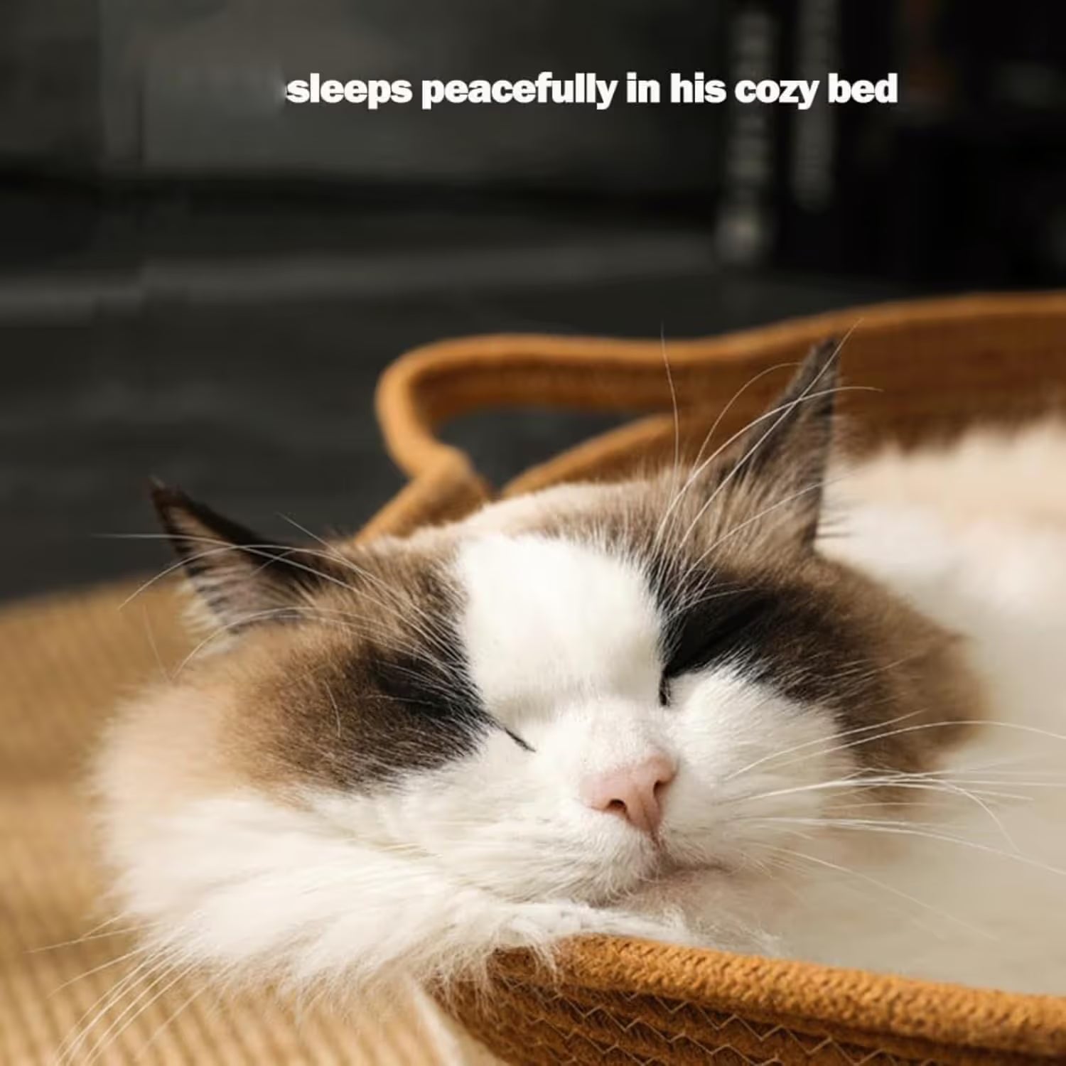 Cat Bed Rope Cotton, Cotton Rope Woven Round Cat Beds Basket with Built-in Teasing Ball, Handwoven Foldable Scratchable for Small & Large pet Brown（L）