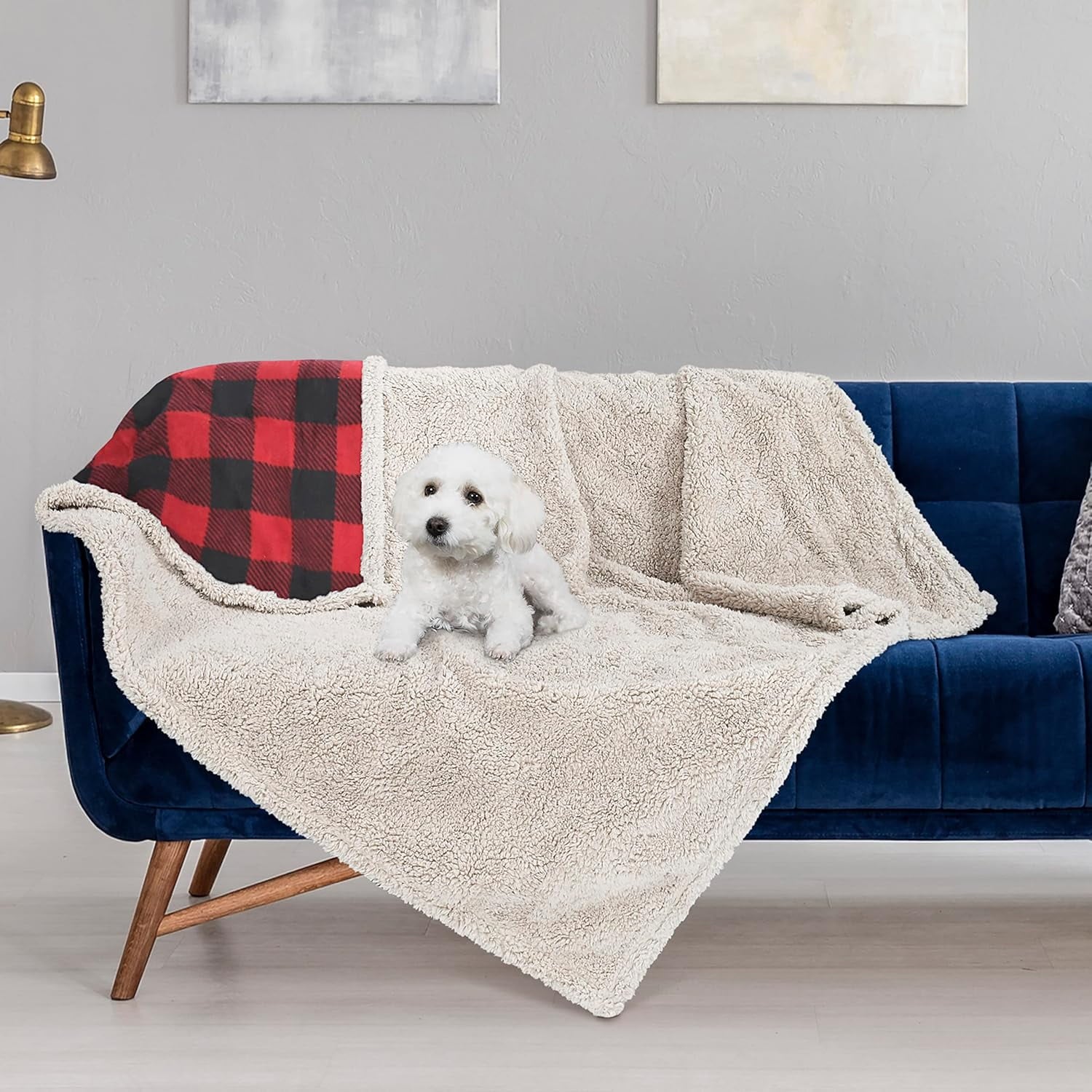 Pawsse Waterproof Pet Blanket, Pee Urine Proof Dog Blanket Cover for Couch Bed Furniture Protector, Liquid Proof Blanket for Small Medium Dogs, Buffale Red/Tuape, 50” x 60”. Buffale Red/Tuape