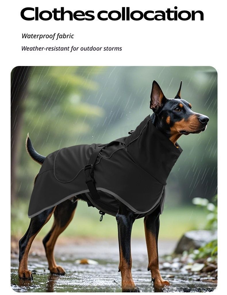 Winter Warm Pet Coat, Outdoor Cold Proof Dog Jacket-orange