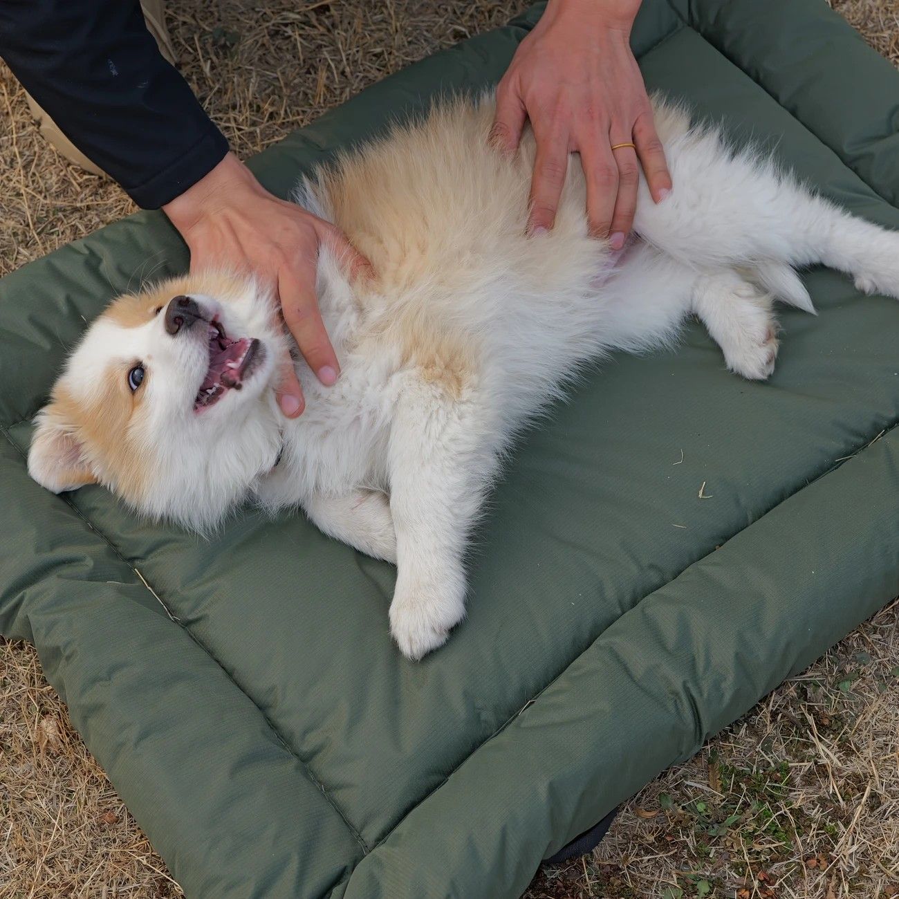 High-Quality Pet Portable Moisture-Proof Mattress, 120x80cm Large Size, Foldable for Storage, Wear-Resistant and Waterproof, All-Season Use, Suitable for Indoor and Outdoor, Ideal for Both Cats and Dogs.BLUE