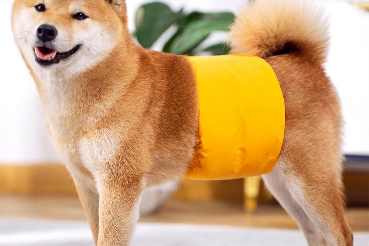 Washable Dog Diaper Water-resistant Puppy Nappy Belly Wrap for Male Dogs Reusable Dog Belly Bands Male Puppy Nappies Wrap Yellow - M