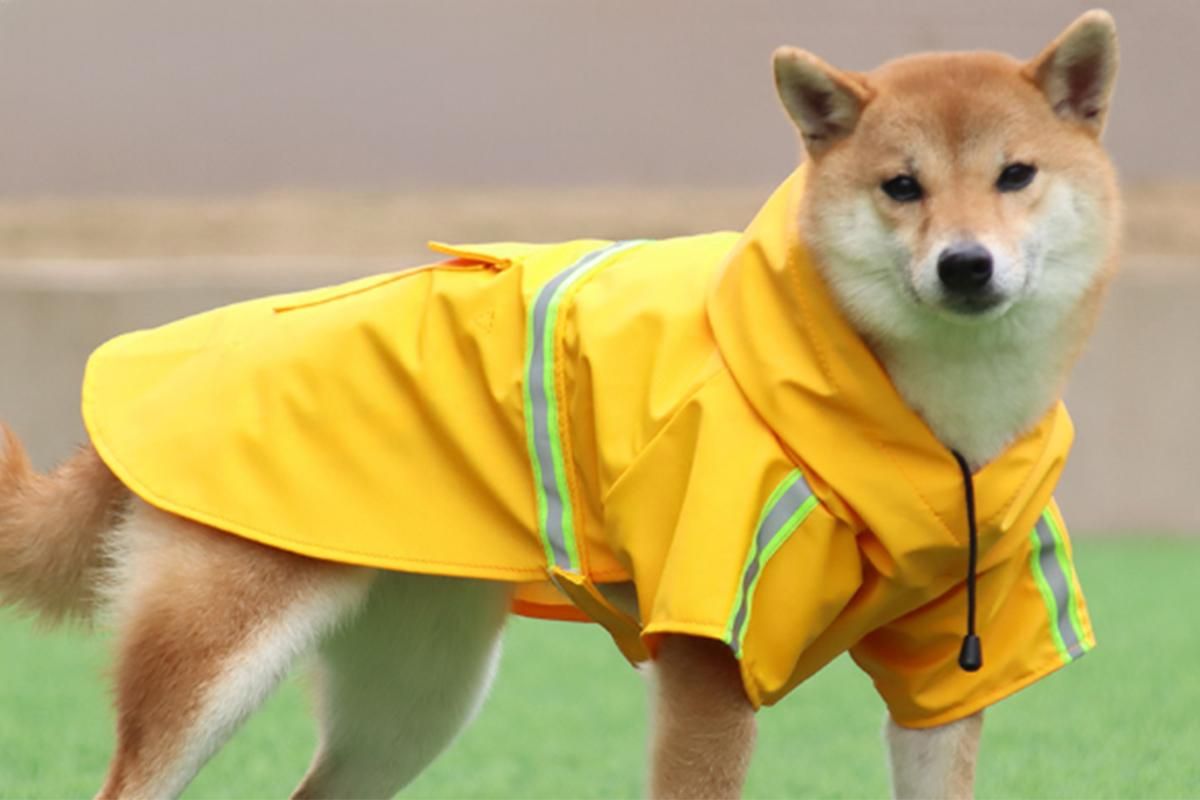 Pet Raincoat Outdoor Waterproof Dog Poncho for Small and Medium Dogs - Orange
