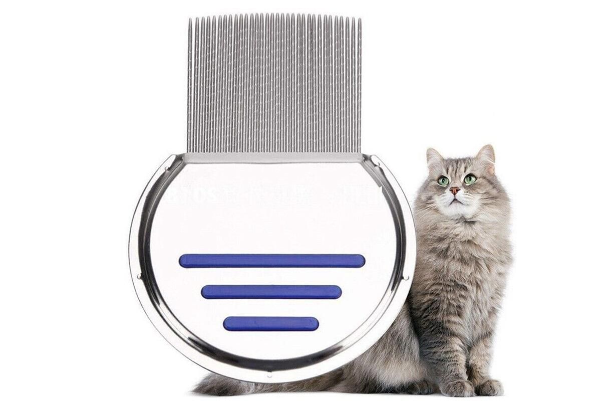 Stainless Steel Pet Flea Comb Fine Tooth Grooming Tool for Dogs Cats - Blue
