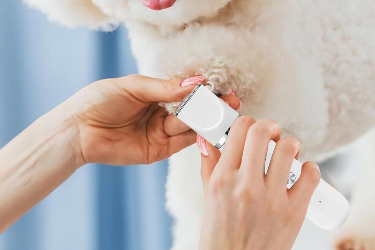 4-in-1 Dog Clipper Dog Grooming Kit with 4 Blade Heads -White