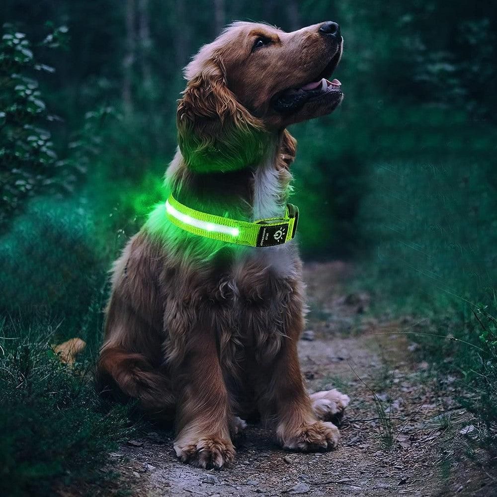 Luminous LED Pet Dog Collar Light-up USB Rechargeable Dog Collar Green - M