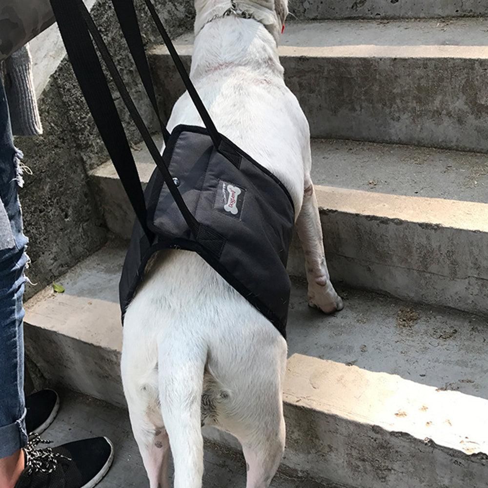 Pet Dog Support Harness Walking Vest Dog Sling Support Sling Gray - M