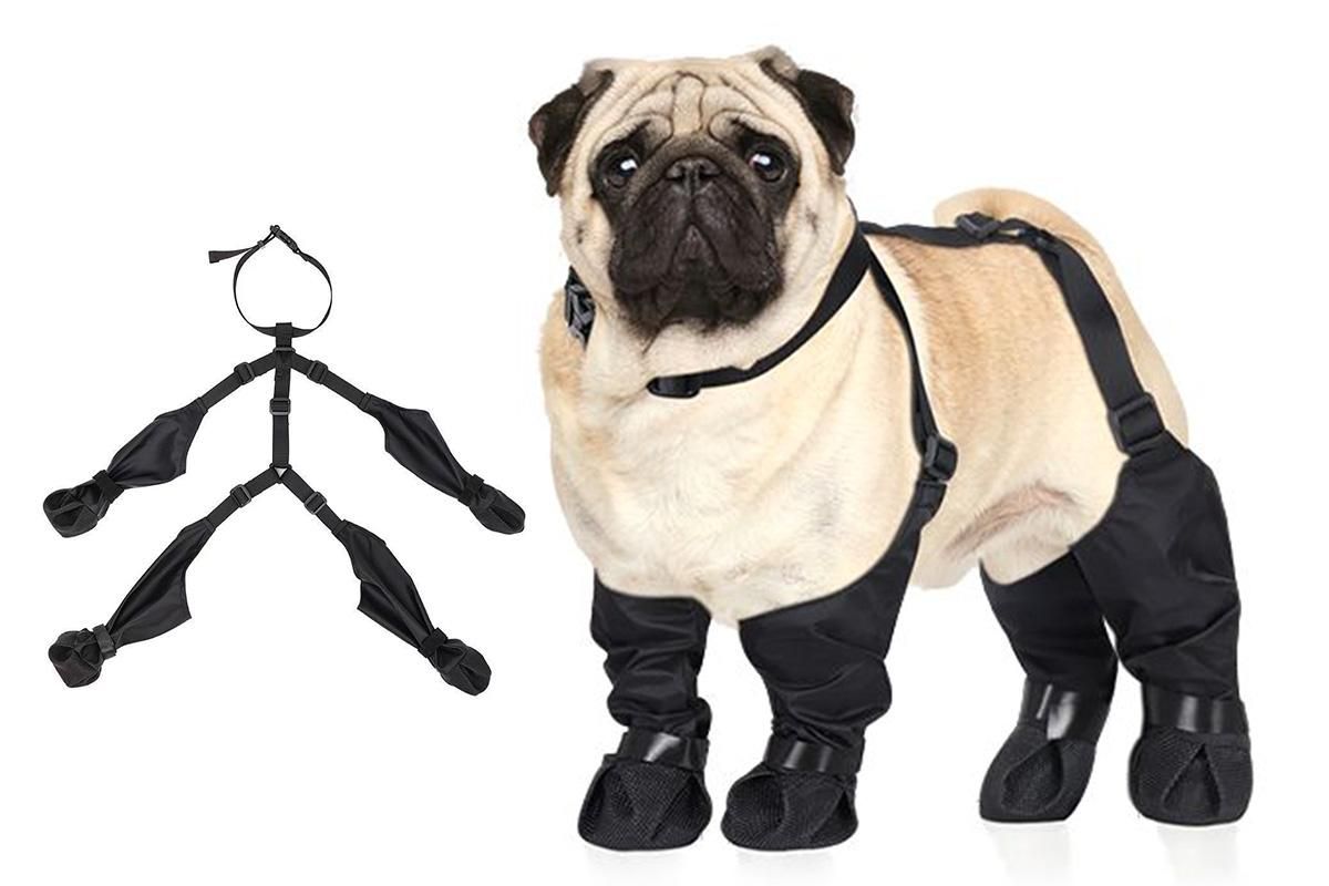 Waterproof Pet Boots Dog Rain Shoes for Outdoor Use - M