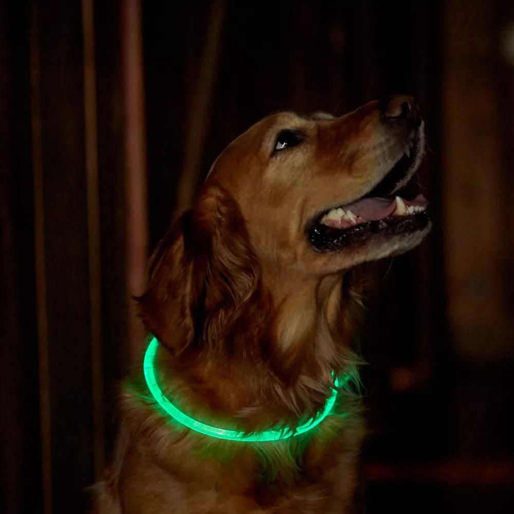 Light-Up Pet Dog Collars USB Rechargeable Pet Collar Adjustable Size Pet Collar Green - L