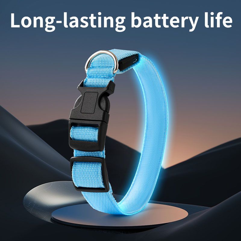 Pet LED Light-Up Collar, Large, Adjustable, USB Rechargeable, for Cats and Dogs, Nighttime Anti-Lost - White