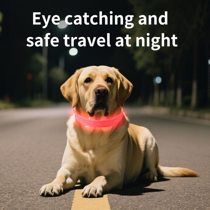 Pet LED Light-Up Collar, Large, Adjustable, USB Rechargeable, for Cats and Dogs, Nighttime Anti-Lost - White