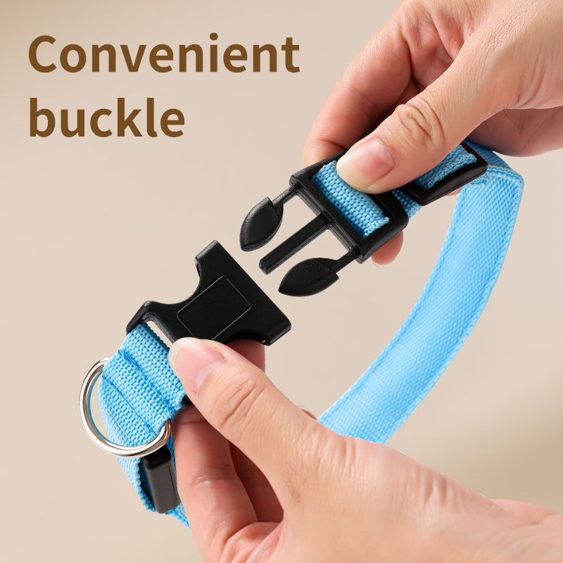 LED Light-Up Pet Collar, Large, Adjustable, USB Rechargeable, for Cats and Dogs, Nighttime Anti-Lost– Orange