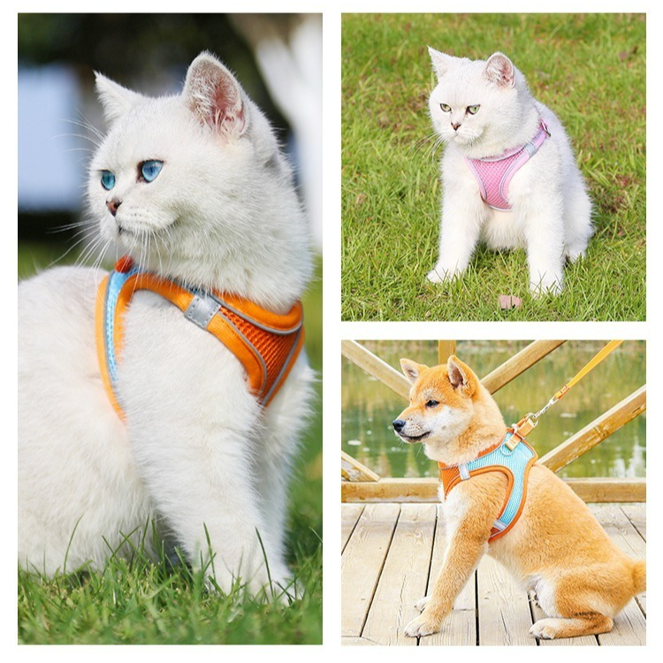 Breathable Reflective Pet Harness Set: Vest-Style Dog Harness + Leash - Black-L