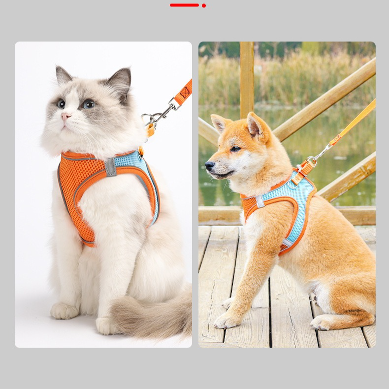 Breathable Reflective Pet Harness Set: Vest-Style Dog Harness + Leash - Black-XS