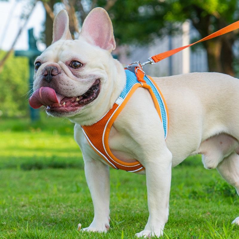 Breathable Reflective Pet Harness Set: Vest-Style Dog Harness + Leash - Black-XXS