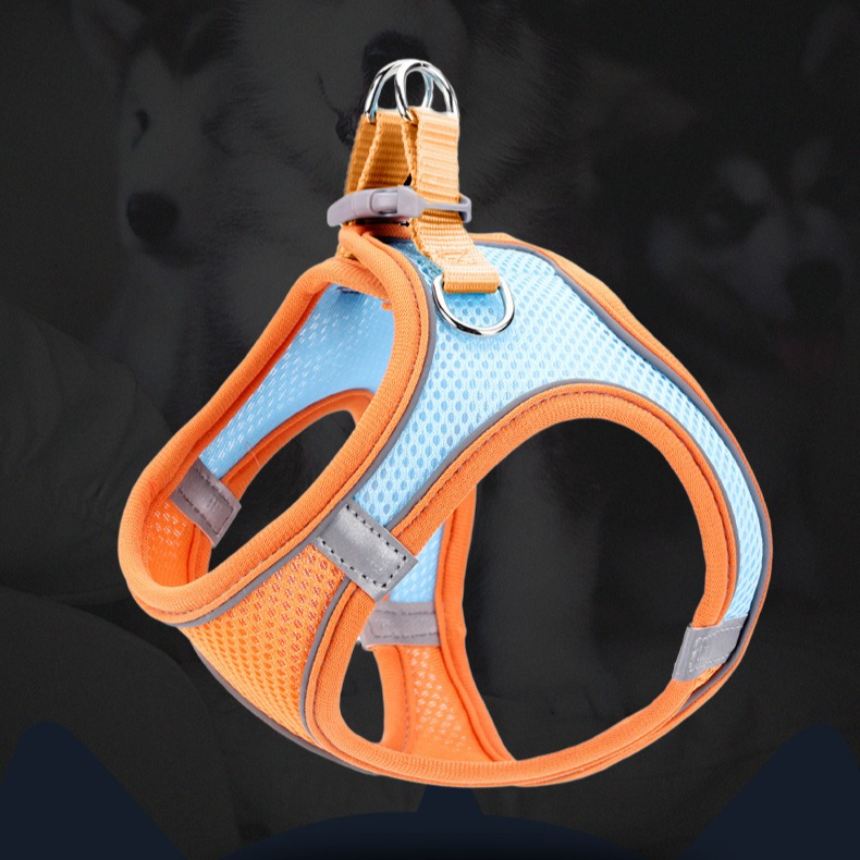 Breathable Reflective Pet Harness Set: Vest-Style Dog Harness + Leash - Blue-L