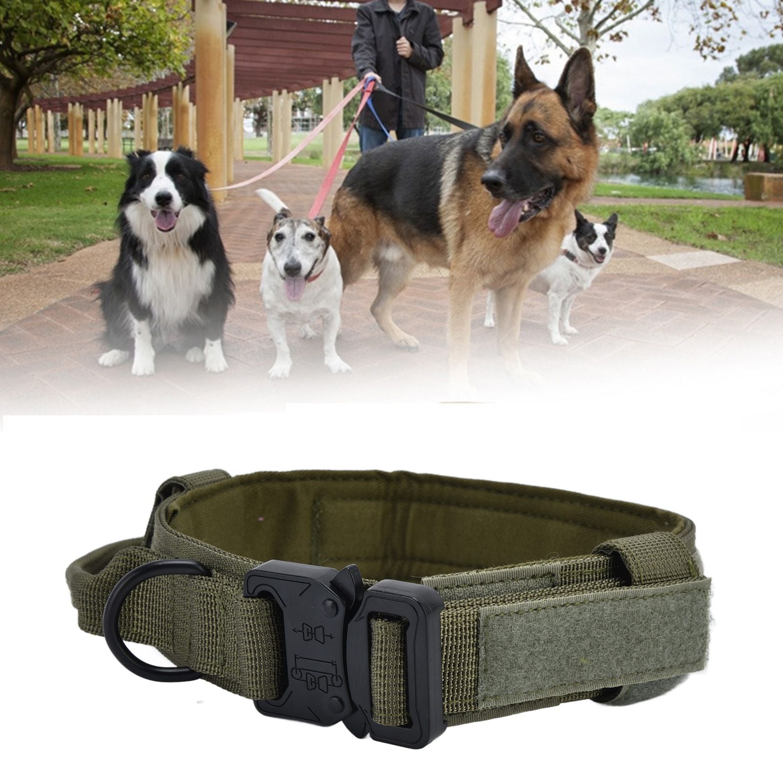 Traction Dog Collar with Buckle Nylon Iron Training Hunting Collar Pet Accessory for OutdoorGreen M